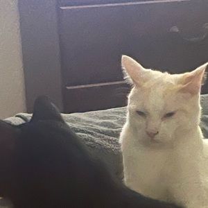 Meet your Posher, Catherine